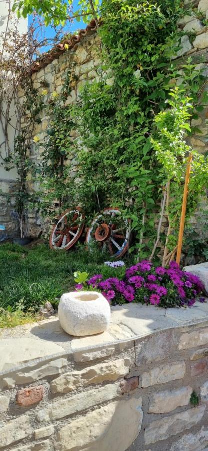 Sezgin Boutique Hotel Kuşadası Ngoại thất bức ảnh